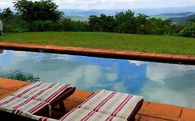 Wild Fig Guesthouse